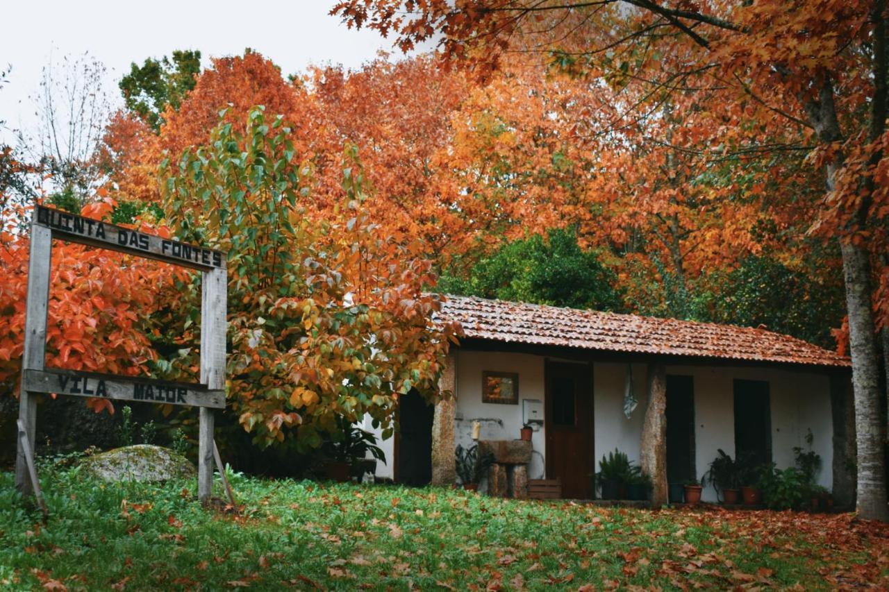Quinta Das Fontes - Alojamento Rustico Local E Turismo Rural Сан-Педру-ду-Сул Экстерьер фото