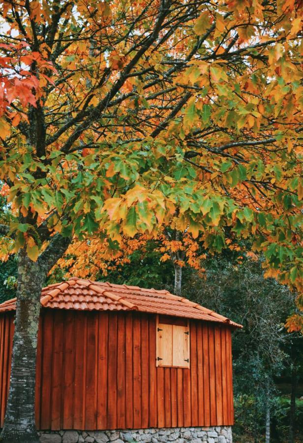 Quinta Das Fontes - Alojamento Rustico Local E Turismo Rural Сан-Педру-ду-Сул Экстерьер фото