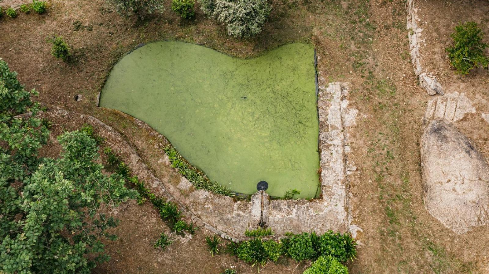 Quinta Das Fontes - Alojamento Rustico Local E Turismo Rural Сан-Педру-ду-Сул Экстерьер фото
