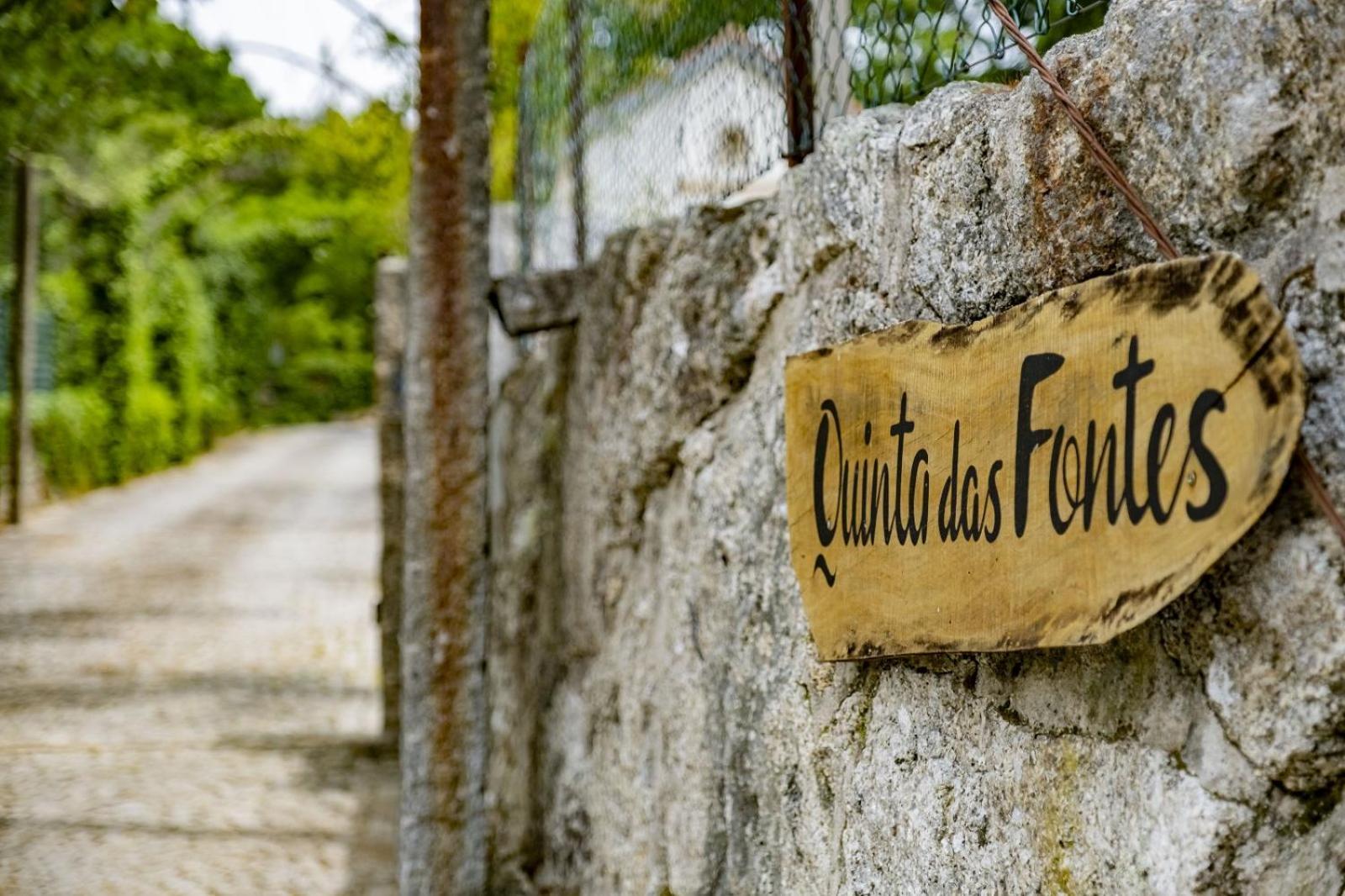 Quinta Das Fontes - Alojamento Rustico Local E Turismo Rural Сан-Педру-ду-Сул Экстерьер фото